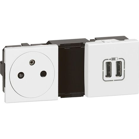 Prise 2 pôles + terre + 2x USB mosaïque blanc (1/5)
