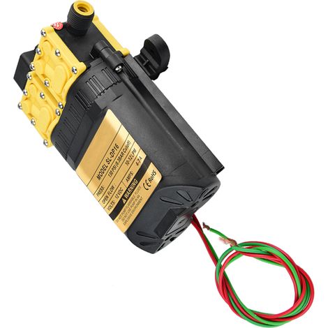 Pompe à eau 12 V à double noyau pour pulvérisateurs électriques agricoles, avec double pompe et clapet anti-retour haute pression. (1/5)