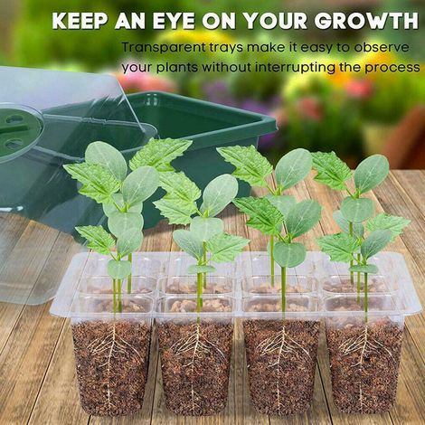 Plateau de germination à 12 alvéoles pour semis, idéal pour la maison, le jardin, le balcon ou la pépinière. Support de culture pour plantes. (1/5)