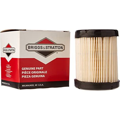 Filtro dell’aria originale 591583 Briggs & Stratton (1/3)