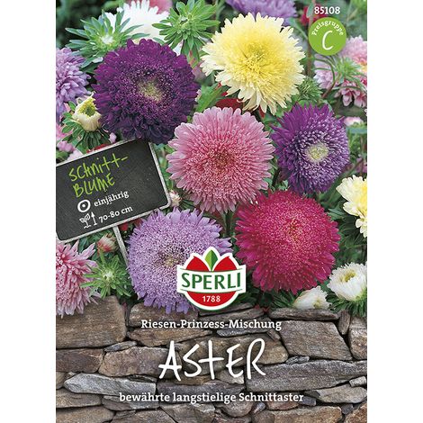 Sperli Sommerastern Riesen-Prinzess-Mischung - Blumensamen (1/2)