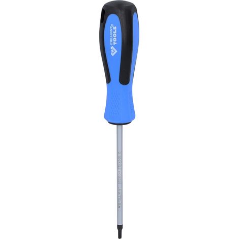 Brilliant Tools Schraubendreher TX, T15 x 100 mm (1/5)