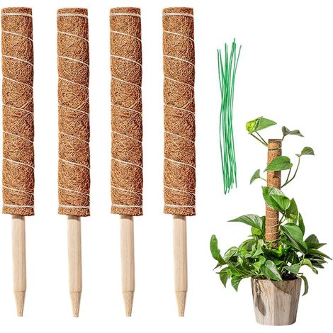 4 Pièces Tuteur Coco Empilable, Moss Pole, Bâton De Coco pour La Maison Jardin Plante Grimpantes Extension De Support De Plante(40cm) (1/5)
