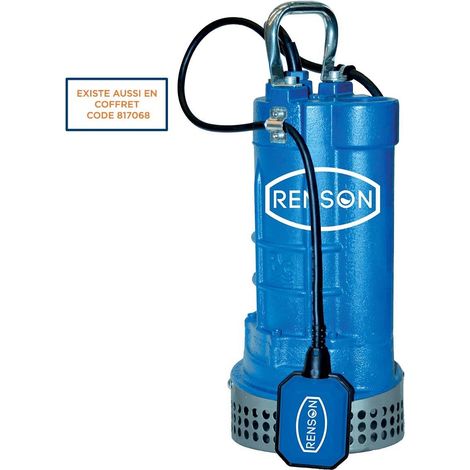 Pompe De Chantier Mono En Fonte 1,5Kw Renson (1/4)