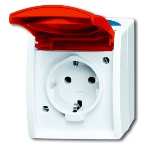 Busch-Jaeger Schuko-Steckdose mit EDV/Namensschild 20 EW/DVN-53 (1/2)