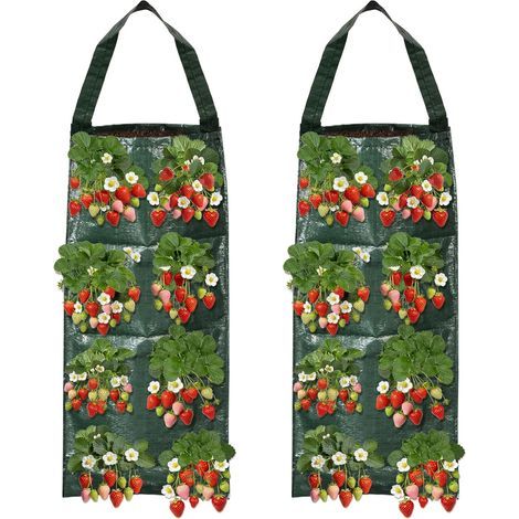 Hängepflanzsäcke, 8 Löcher, PE-Kunststoff, Dunkelgrün, Vertikale Balkonbepflanzung (1/5)