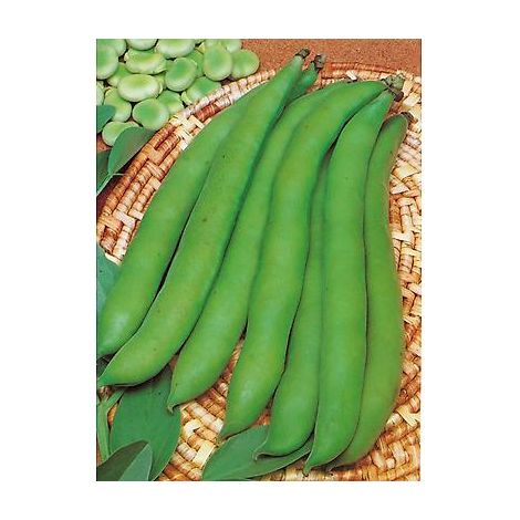 FEVE D AGUADULCE - 300 G