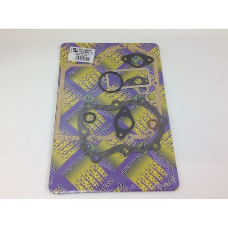 Serie KIT guarnizioni ACME benzina motore AL 290 AL 330  A2413