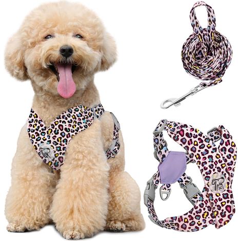 Harnais pour Chiens avec Laisse, Harnais Sécurisé Anti-Traction (1/5)