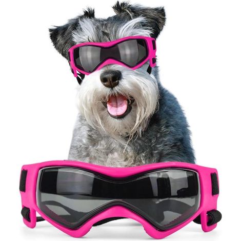 Stück (blaue) Hunde Sonnenbrille Mittlerer UV Schutz Hundebrille für kleine bis mittelgroße Hunde, winddicht, beschlagfrei, schneefest, Welpenbri (1/5)