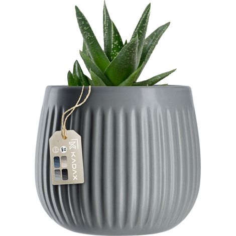 Pot en céramique, design minimaliste, facile à nettoyer, Gris clair, Moyen (1/2)