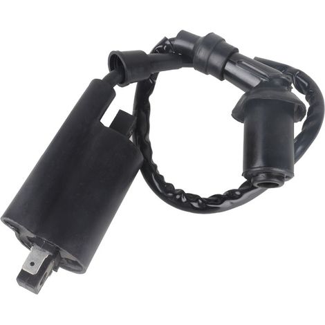 Bobina de encendido para motocicleta Yamaha V-Star250/XV125/XV250/Virago Route66 (1/4)