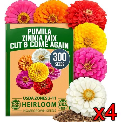 4-Pack Graines de Dahlia & Zinnia 1200 pcs – Mélange Coloré, Non-OGM, Bio pour Jardin et Balcon (1/5)