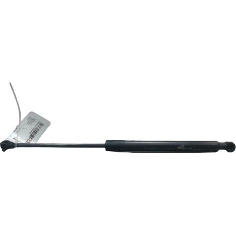 Verin Capot G RENAULT Megane [PRODUIT D'OCCASION]♻️654707606r