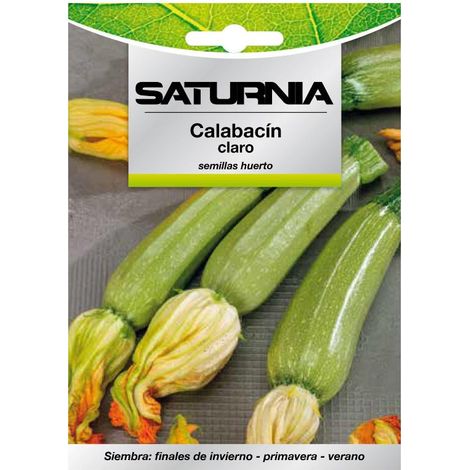Semillas Calabacin Claro (5 gramos) Semillas Verduras, Horticultura, Horticola, Semillas Huerto. (1/2)