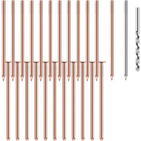 Jeu de 23 clous en cuivre de 89 mm de long pour le dessouchage, avec gros clous en acier et clous perforés. (1/5)