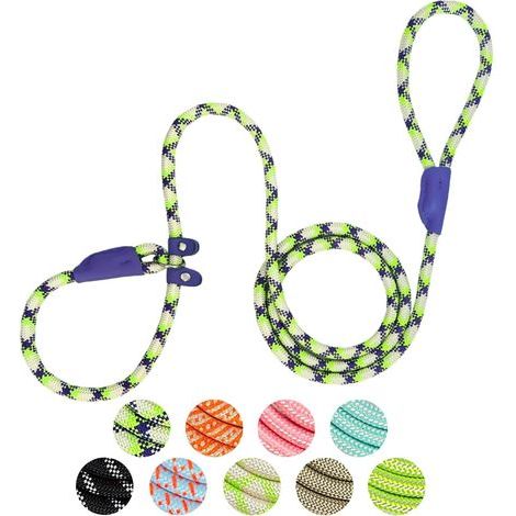 Gleitende Hundeleine – Strapazierfähiges Nylon – 1,8 Meter x 1 cm – Verstellbar – Für das Training kleiner und mittelgroßer Hunde (1/5)