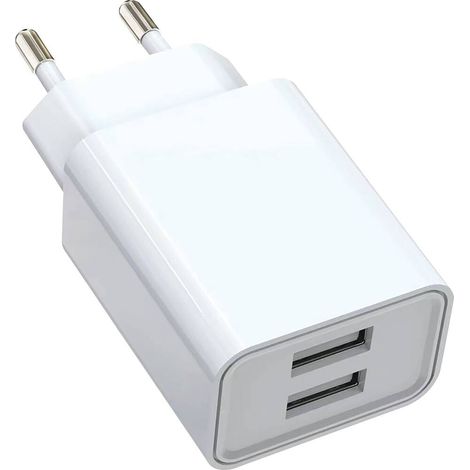 Netzladegerät 230v 2 usb-Steckdosen SODELEC - 03010
