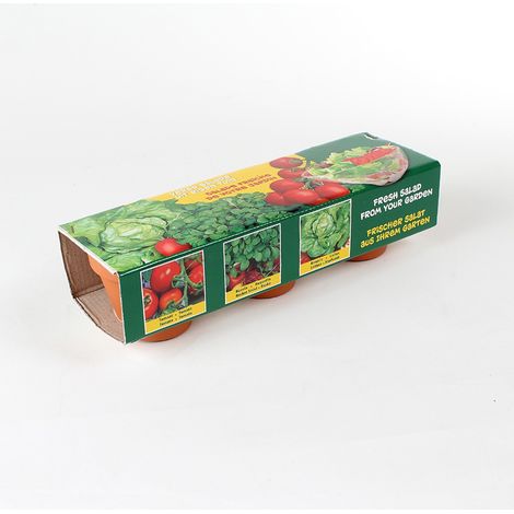 Kit di 3 vasi in terracotta per semina di insalate e pomodori