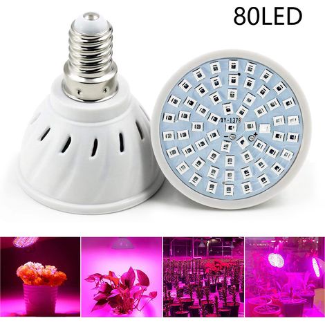 Ampoule de culture LED à spectre complet, ampoules de culture de plantes avec 80 LED, lampe de culture à douille E14 pour serre hydroponique, 2 pièces (1/5)