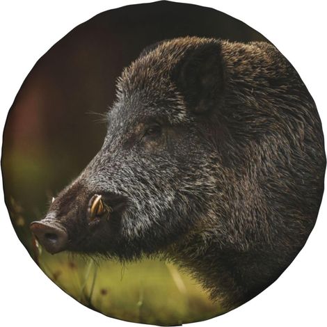 Spare Wheel Cover, Curious Boar Printing Watching Wheel Covers Waterproof Dustproof Wheel Covers for 14 Inch Tyres (1/5)