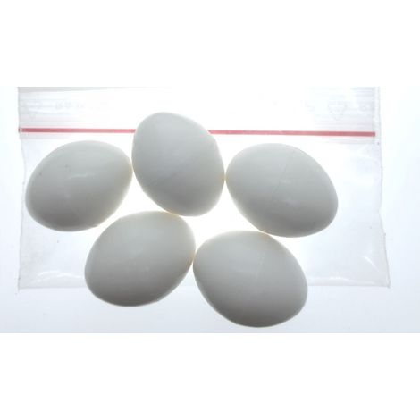 5 œufs artificiel en plastique pour oiseaux Calopsitte , inséparables, agapornis - animallparadise