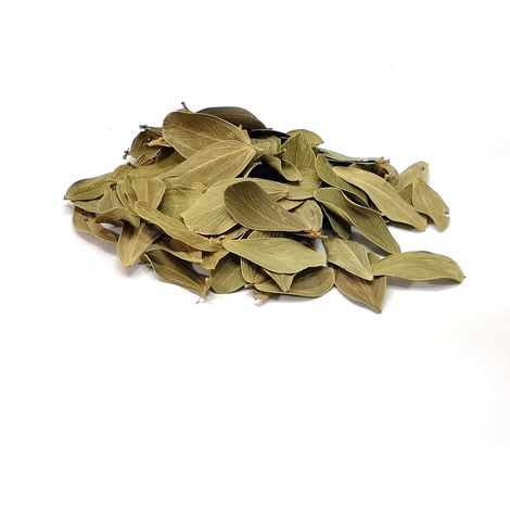 Foglie brasiliane 20g, decorazione, foresta in foglie di vetro (1/5)
