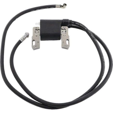 Module de bobine d'allumage 394891 392329 pour magnéto à induit Briggs & Stratton 590781 42A707 42A777 16-18 CV