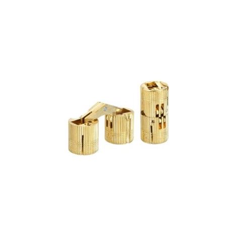 Cerniera cilindrica, cerniera per mobili a scomparsa, angolo di apertura 180 gradi, adatta per progetti fai da te, oro, 14 mm, 2 pezzi - Crezuo
