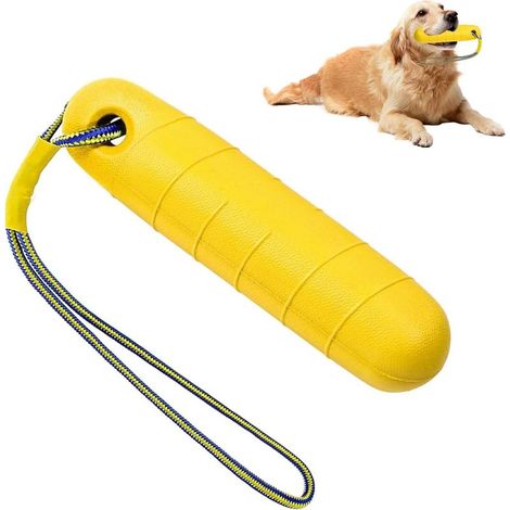 Jouet flottant pour chien - Jouet aquatique pour chien - Pour jouer à lancer et à rapporter sur terre et dans l'eau - Jouet interactif pour chien - Jouet flottant pour chien (1/5)