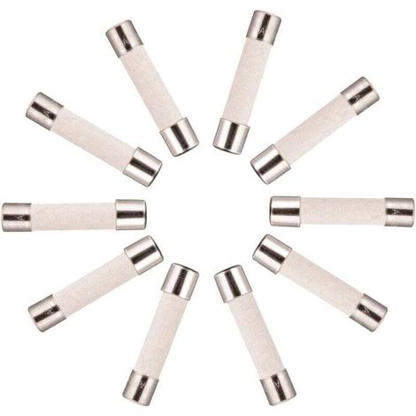 10x Zeitträge Keramiksicherung (T) 10A / 250VAC 5x20mm (1/5)
