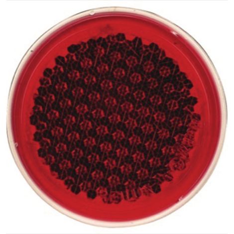 Catarifrangente rotondo a vite, 60 mm, rosso