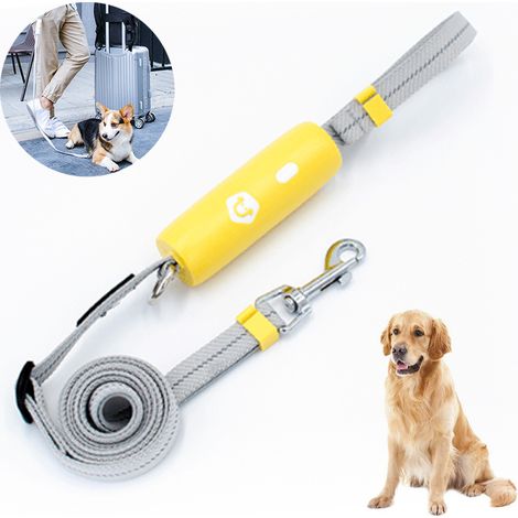 Laisse Pour Chien - Poignée Ergonomique - Corde Élastique Réfléchissante - Réglable En Longueur - Pour Chiens Moyens Et Petits - 1 Pièce (1/5)