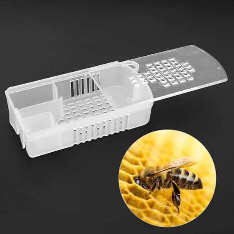 Lot de 5 cages à reines en plastique transparent, accessoires pour l'apiculture (1/5)
