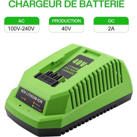 Caricabatterie da 40 V compatibile con Greenworks 40V G40C, per dispositivi e batterie della serie Greenworks 40V. (1/3)
