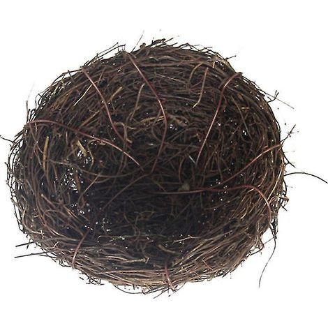 1 Vogelnestmodell (1/3)