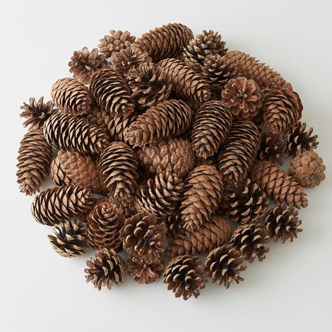200 natürliche Kiefernzapfen zum Basteln, für Weihnachtsbaum und Tischdekoration (1/5)