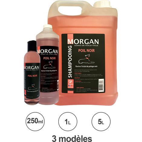 Shampooing poils noirs : 250ml