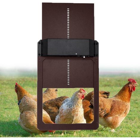 Porte De Poulailler Automatique - Automatic Chicken Coop Porte Avec Lumière Sensing Étanche d'Ouverture du Soir Et du Matin (1/5)