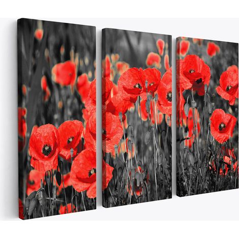 Tableau triptyque sur toile - Coquelicots (1/2)