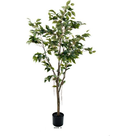 Ficus Benjamina Artificiel tronc PE en pot superbe H150 cm D80 cm Vert - dimhaut: H 150 cm - couleur: Vert