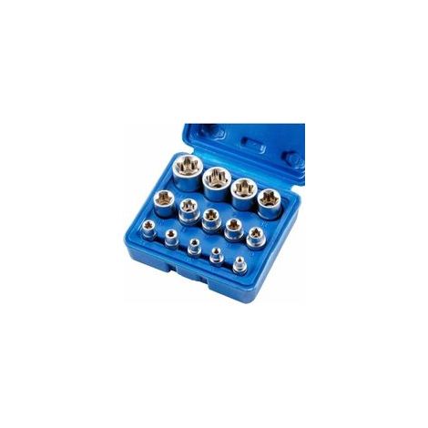 Lot de 14 douilles Torx femelles E4E24 ETorx hexagonales