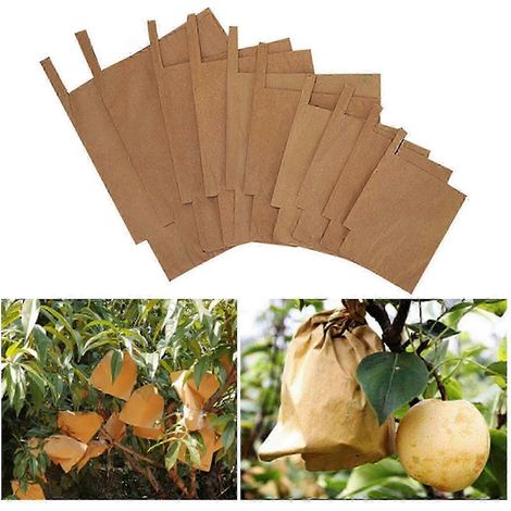 Lot de 100 sacs de protection pour fruits en papier kraft, pour plantes de jardin. (1/5)