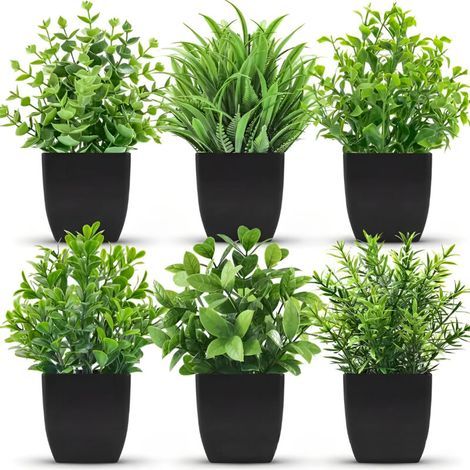 Plantes Artificielles Décoratives Noires Lot de 3 Petites Plantes Synthétiques Réalistes pour Salle de Bain Bureau et Intérieur (1/5)