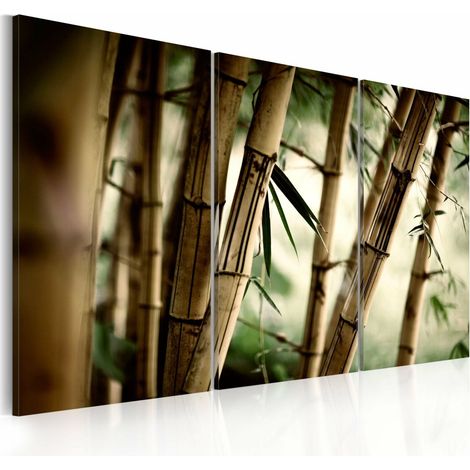 Tableau forêt tropicale - 90 x 60 cm (1/4)