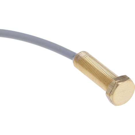 Commutateur à lames, RS PRO Cylindrique 200V, NO, 500mA ( Prix pour 1 )