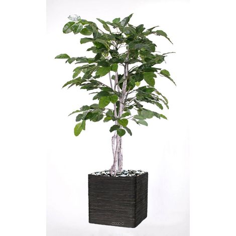 Figuier des Banyans artificiel 180 cm (1/3)