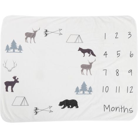 Couverture polaire bébé mensuelle souvenir photo style arctique fond flanelle (1/5)
