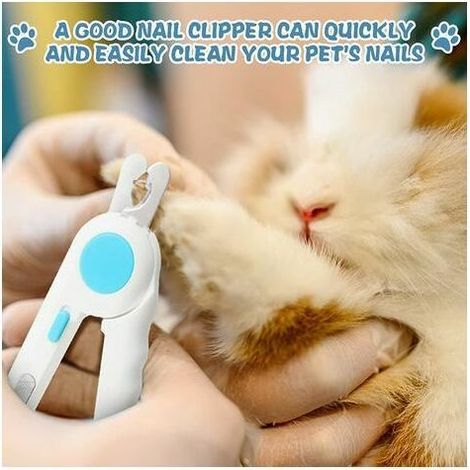 Coupe-ongles Bloodline LED pour animaux de compagnie, ciseaux à griffes de chat, coupe-ongles pour lapin, bleu