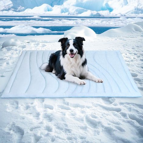Alfombrilla refrescante para perros (Q-MAX 0,46): Alfombrilla transpirable y gruesa para perros activos en verano, 91 x 58 cm (36 x 23 pulgadas), portátil y lavable, de enfriamiento rápido, duradera, (1/5)